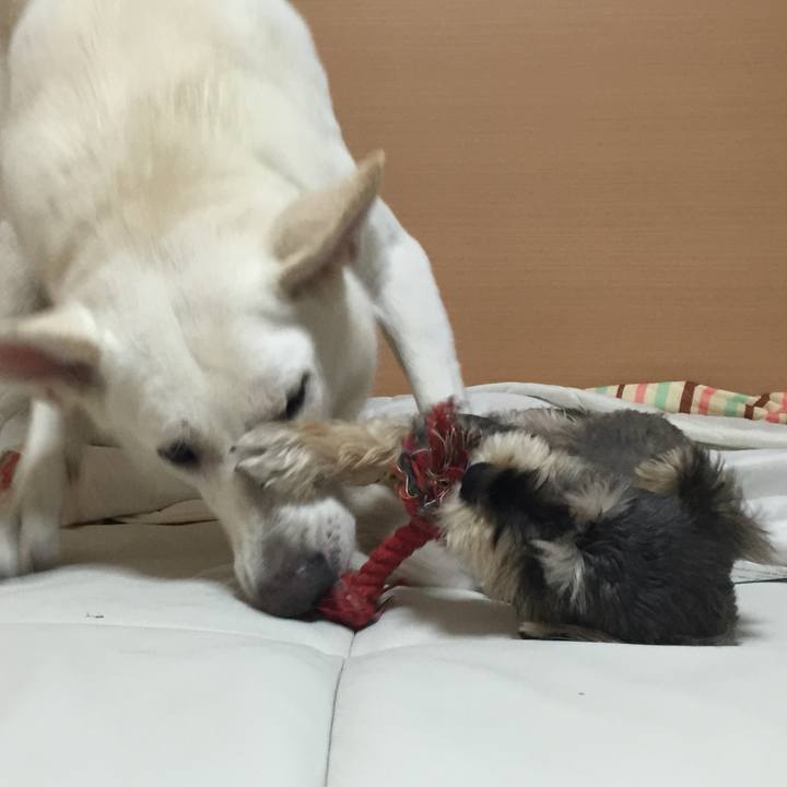 16df066f 8df3 4a7b 89ba 0dfffb8a3b52