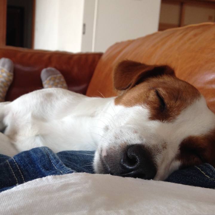 16df8fe8 2c4a 42e6 b969 a234bc24080e