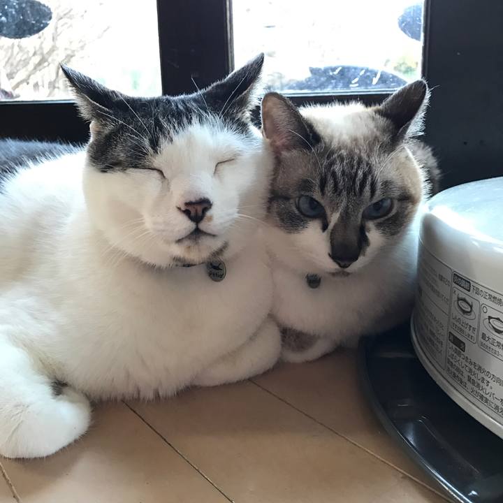 16df9111 1ff0 4146 b385 058d12ab421e