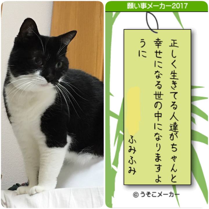 16dfe289 8712 4841 a508 dcb7a5720dd3