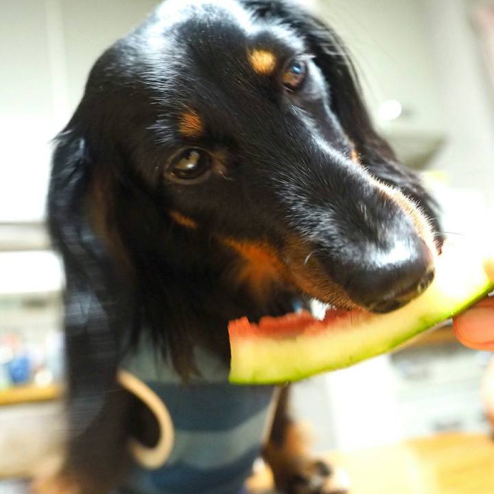 16e0bcbe 0dae 446e 8711 d030c2091c3c