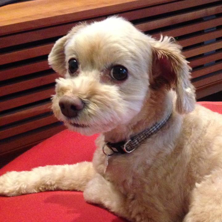 16e0c40b 7723 4d8e ae6e c2b245c946e2