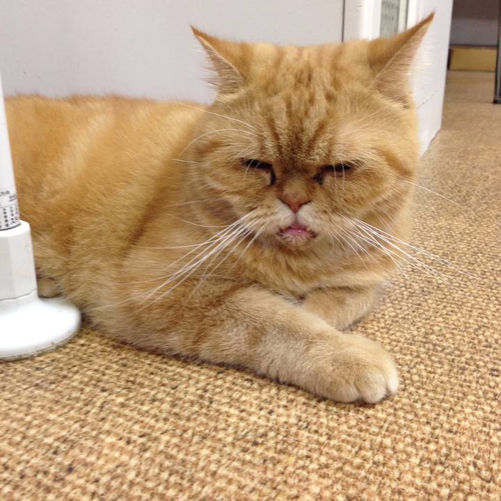 16e0d281 57ed 40c1 9f56 c88355e62efc