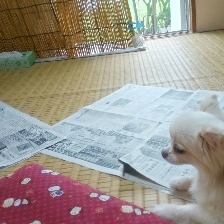 16e11d68 c5a3 4875 ac0b dae57b6d4b3e