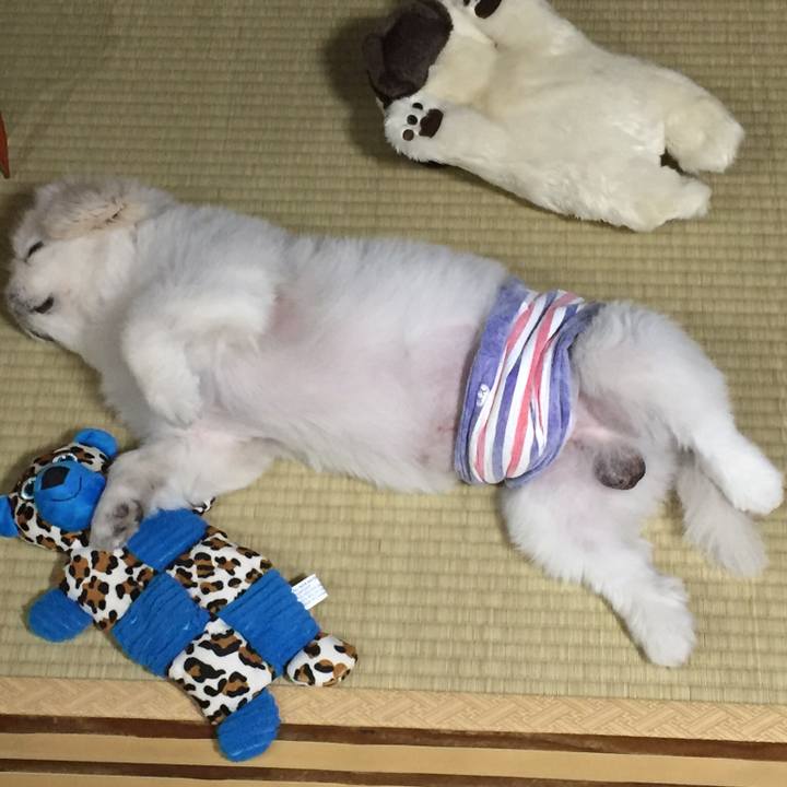 16e12a29 3d22 413c a389 37f1a6f545d4