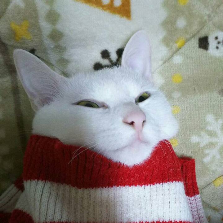 16e1895d a9f7 4565 b686 bb93a207c2be