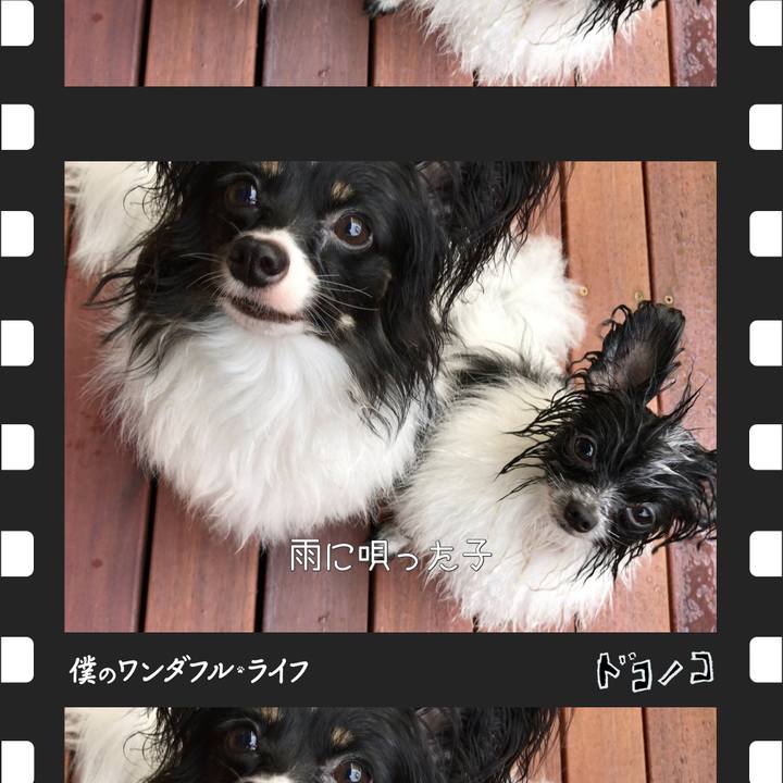 16e2f104 c3b0 4cd4 87b9 6ecc84106e51