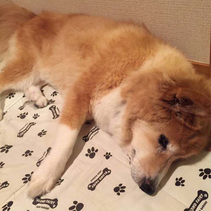 16e34a9d 2af1 43c0 8966 ebb14f4485b3