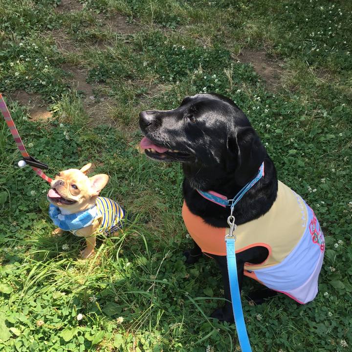 16e4adec ee45 46ed a5f6 f691faf27283