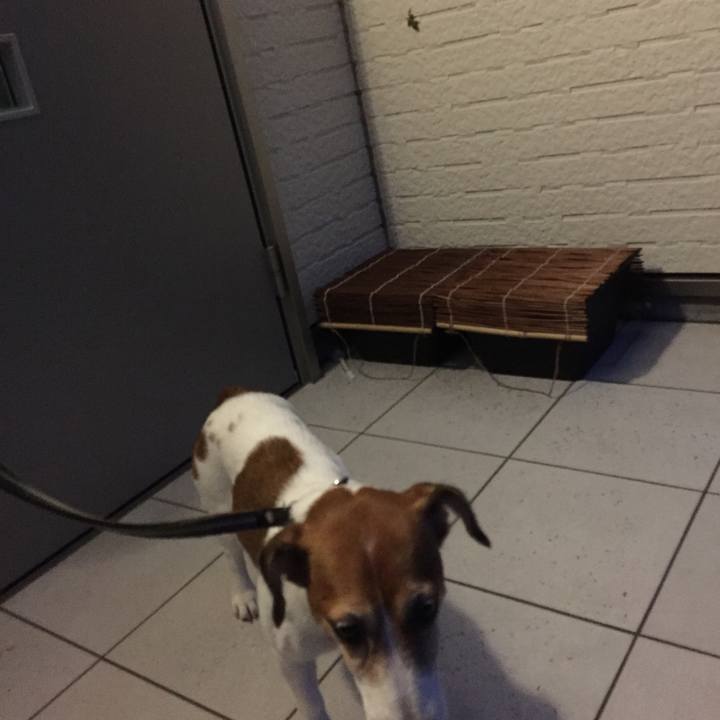 16e54f70 7b9f 40ba b470 3d05109dfbd4