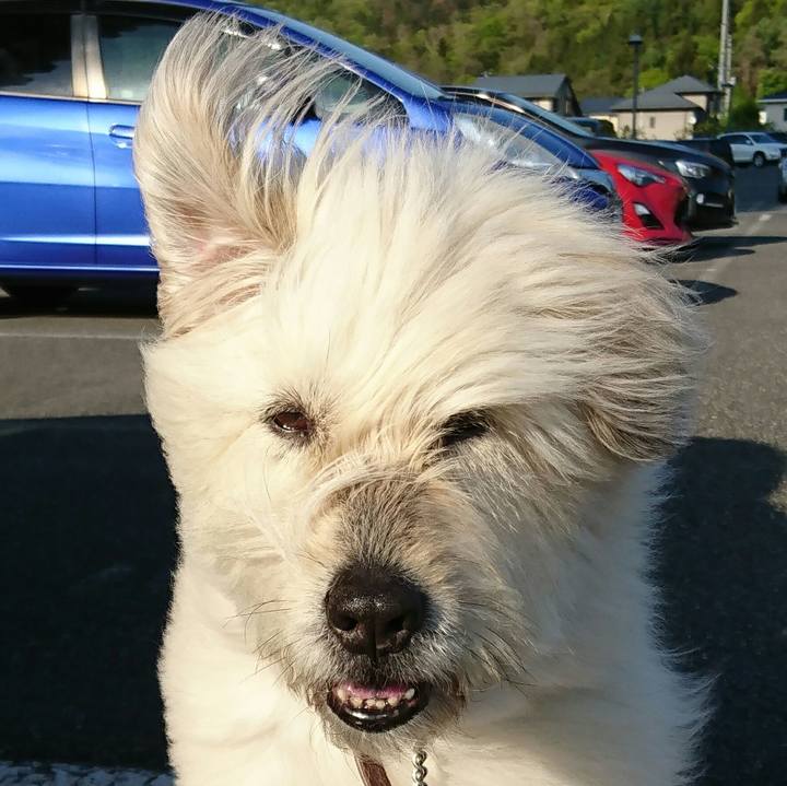 16e575ce 80e1 4cf4 8332 c8c6c257bdb9