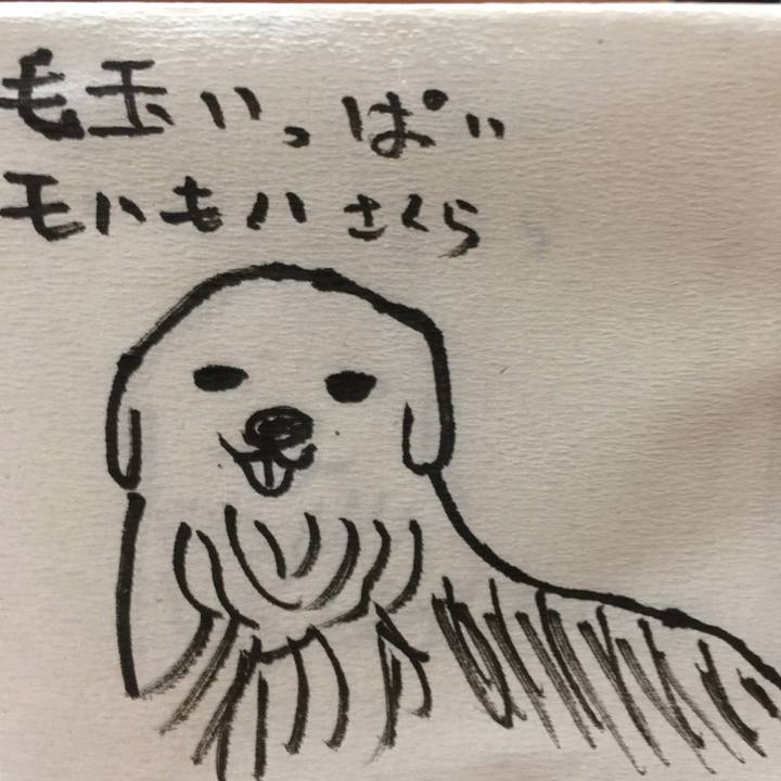 16e588c5 1f73 4924 a32b 6d133c5fe8f9