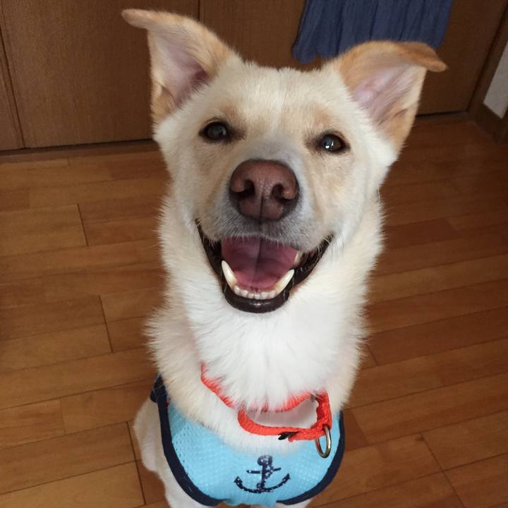 16e6cc59 f9b5 4874 8369 ff69852beb75