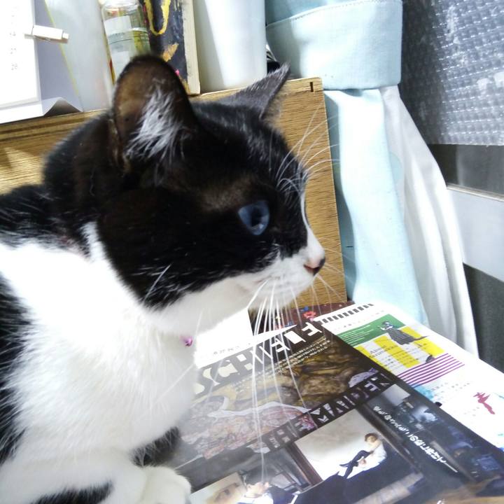 16e70f10 2bf3 4d45 a1a2 f2c96448434e