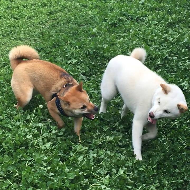 16e7d63b 3eb3 41a6 b3ba a56d34b73d92