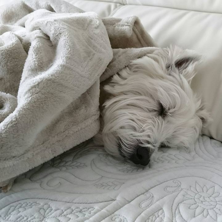 16e858db 526c 4856 ac14 8d6566eba3f4