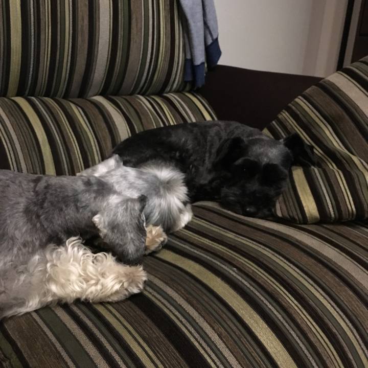 16e89490 ba4d 4c6b a0dc 68dca138c494