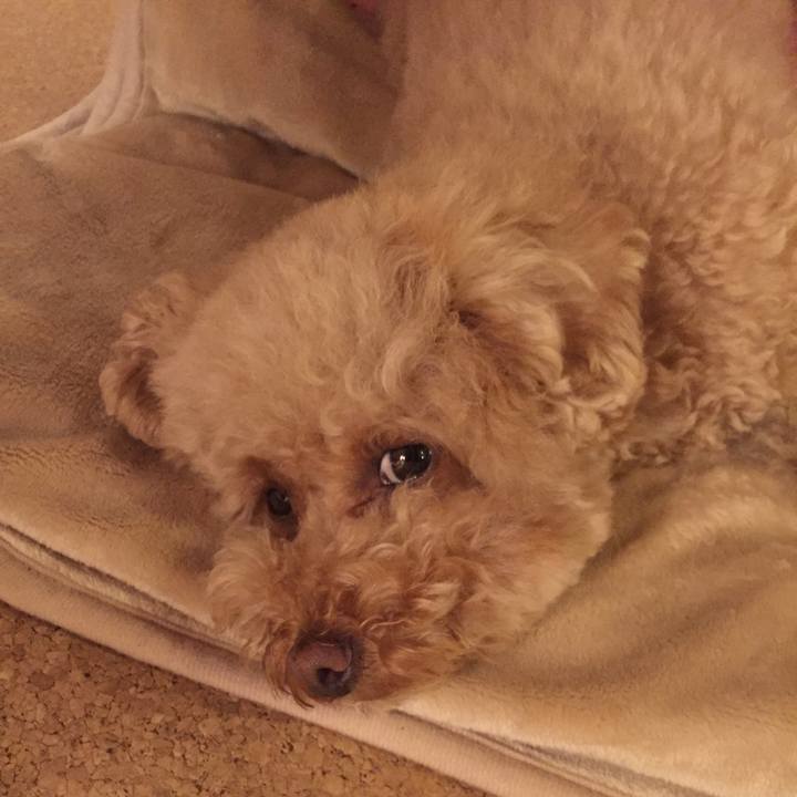 16e8b7fa bd33 48ab a88b d8c15dffa7d0