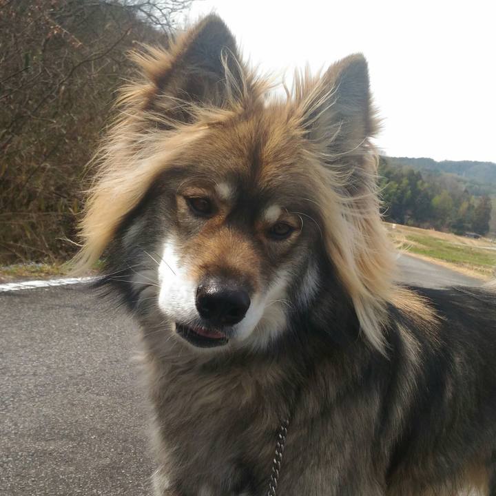 16e8e041 2647 4fd4 8aff 2d02625d1b4e