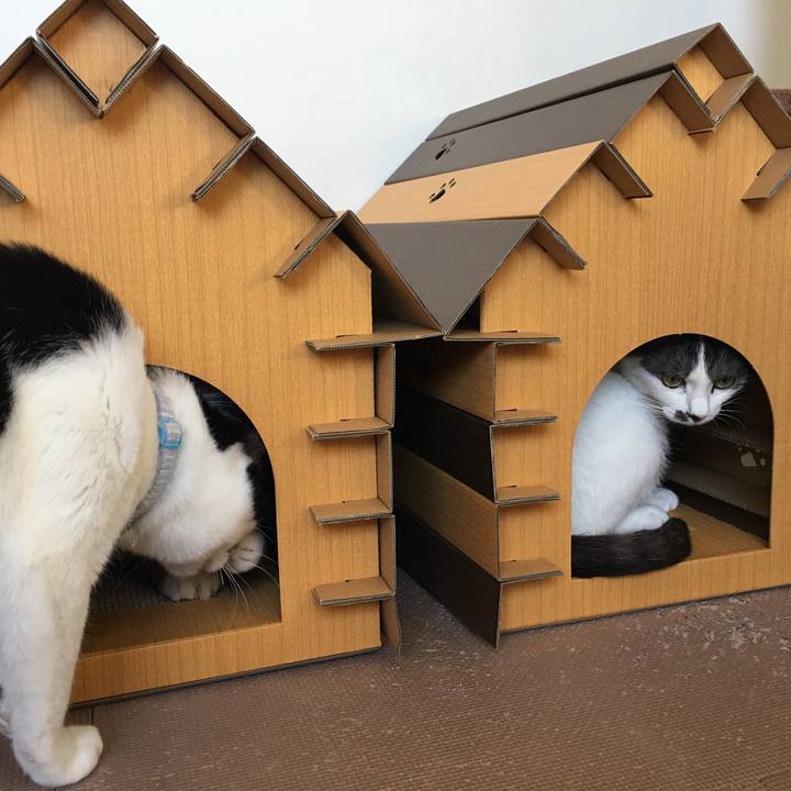 16e91d27 3781 49ab acd8 caf5da5928b9