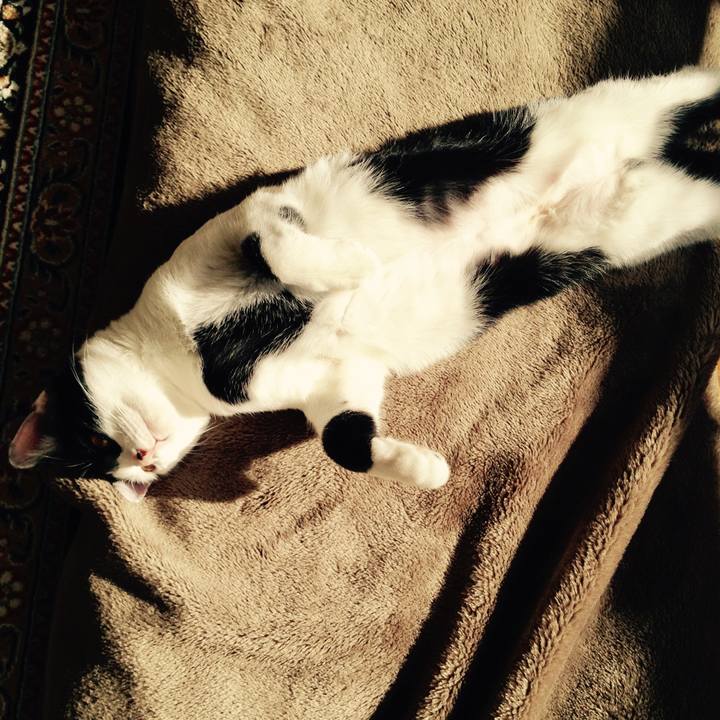 16e93225 5034 4676 97e2 3bc8d3d21c94