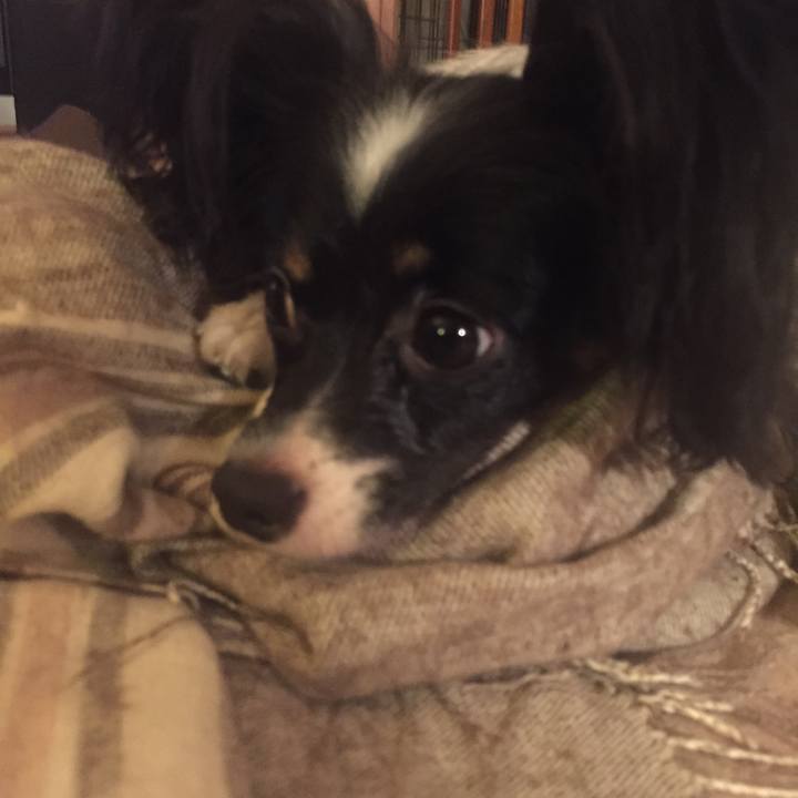 16e94498 9df0 4e46 819c e1101c40c4fd