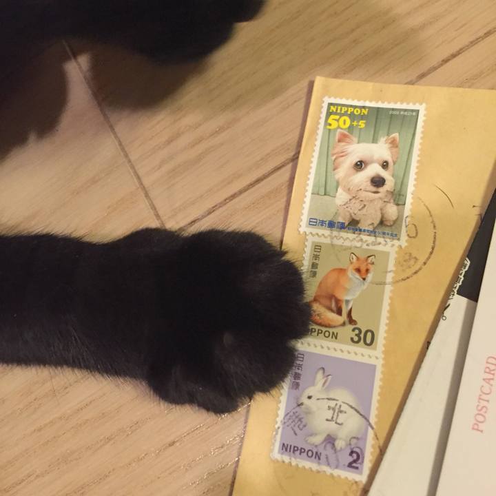 16e9985e a461 42d0 b51e 13fd7a8fd428