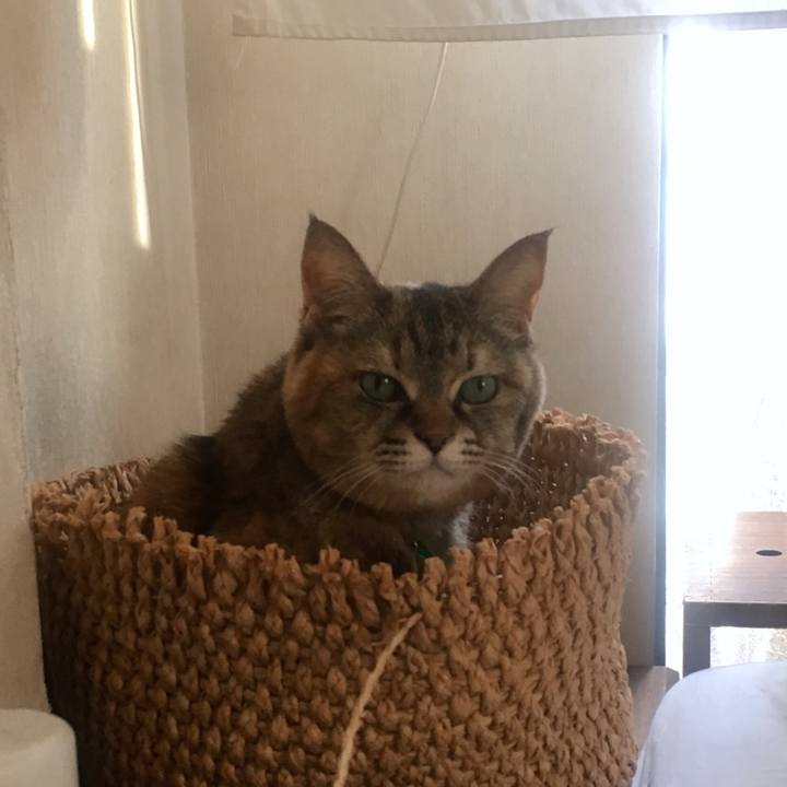 16ea01e6 31d5 46d7 88ad 8699181c1713