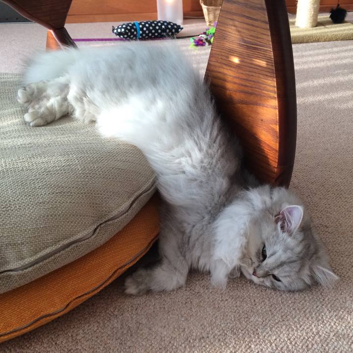 16ea76b4 9fa1 4c56 bfe5 35b092aece09