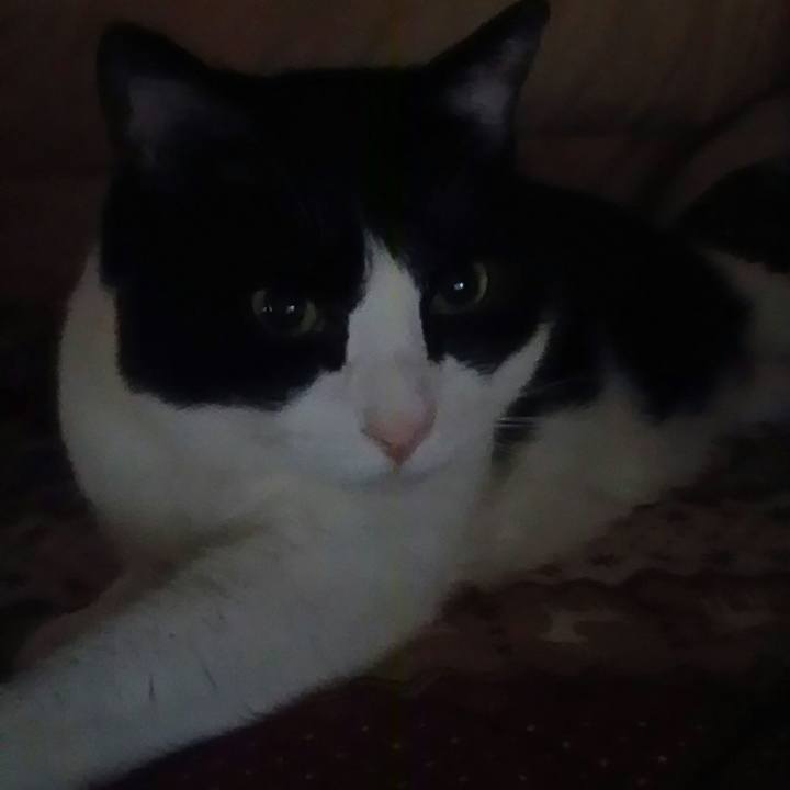 16ea904a 72d3 4ab3 a86c d3887e8c0c98