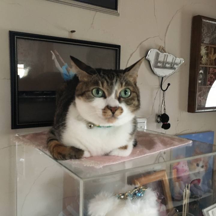 16eb70a1 7d9d 447d 9dc2 02185ca45f85