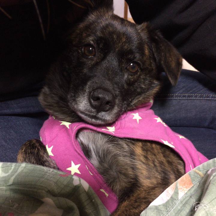 16ebb394 da28 4f14 8317 cf20016a854d