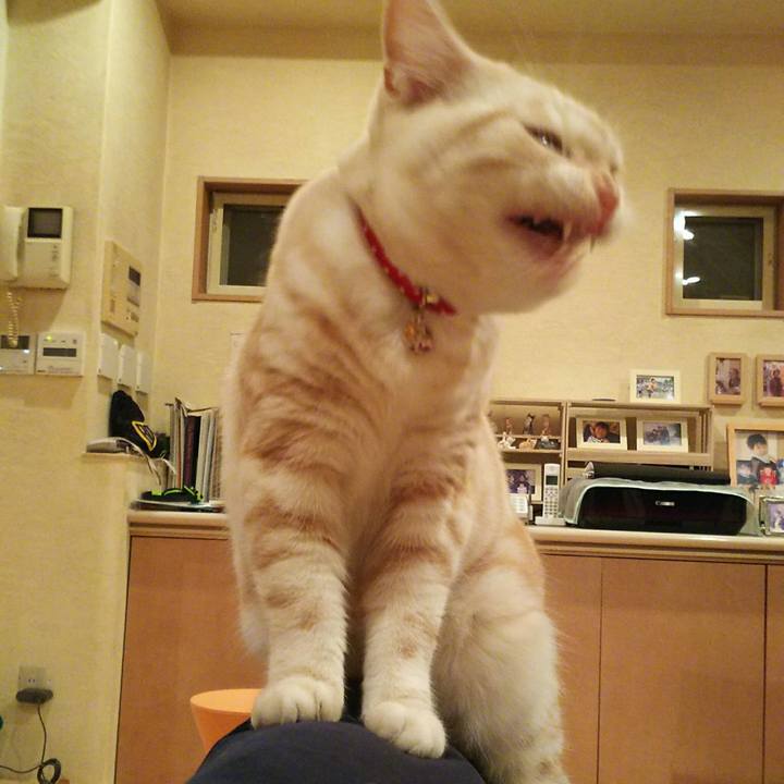 16ebf497 3617 4f6c aca2 0ac2f9472a04