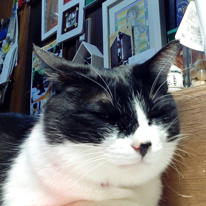 16ec79ec 8c26 43c8 b0ea bdd048c9931b