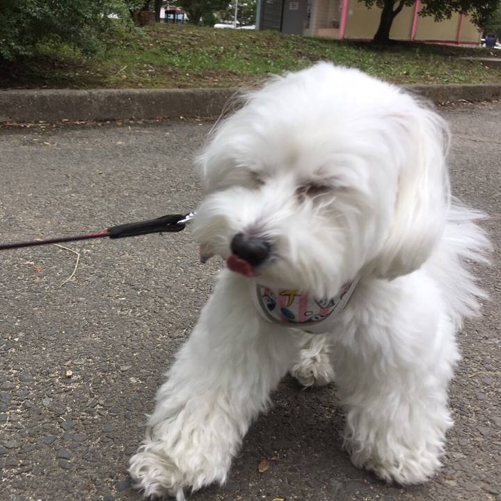 16ecccdf 7ec5 4133 a293 1a8dd1183ac9