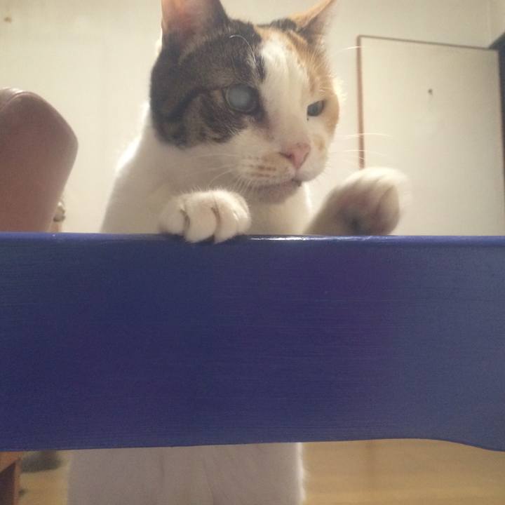 16ece097 0f72 4948 84ef 5def7032e83c