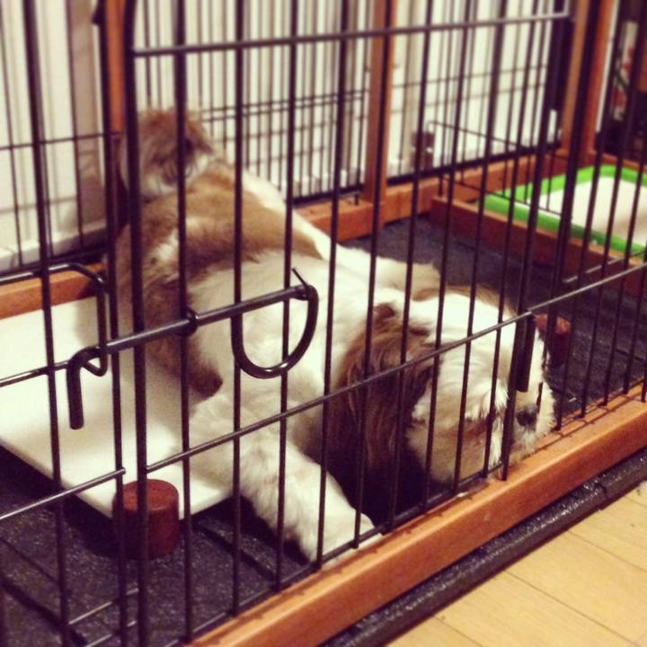 16ed44e3 b60b 43ab 9bd0 c756109b2534