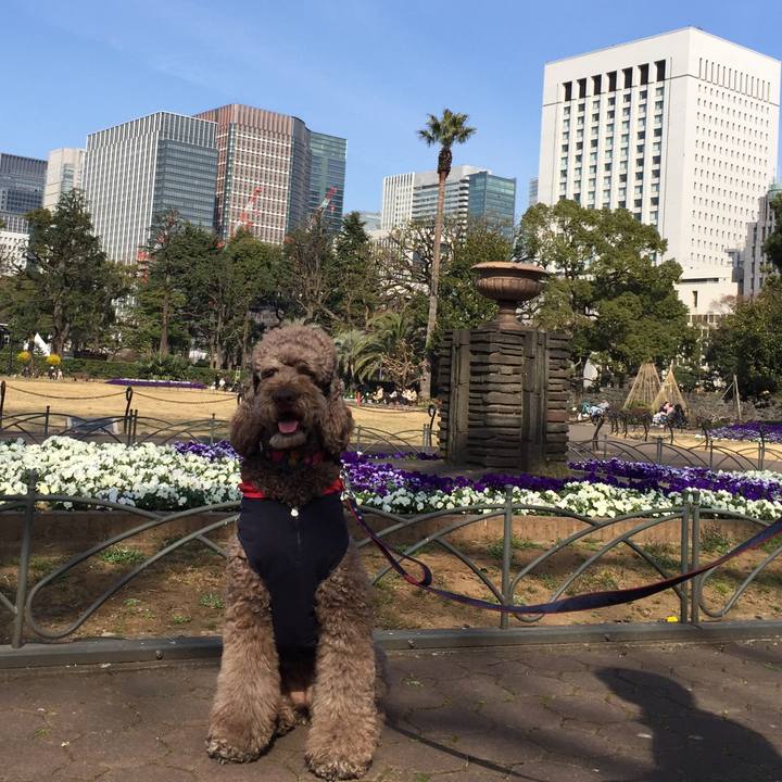 16edf331 3aff 4e60 b365 564bc3142a1b