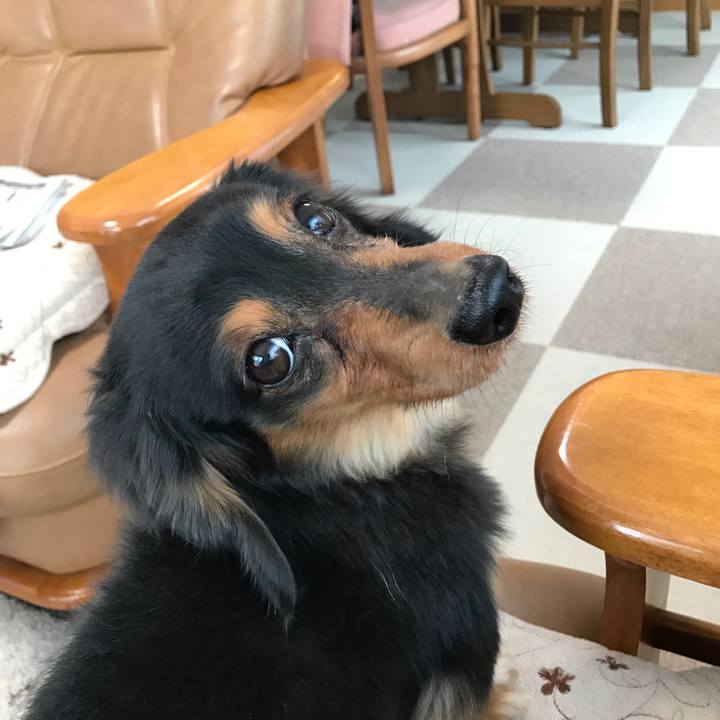 16ef9303 c8a2 4d8a 9db4 1cdb25b40dad