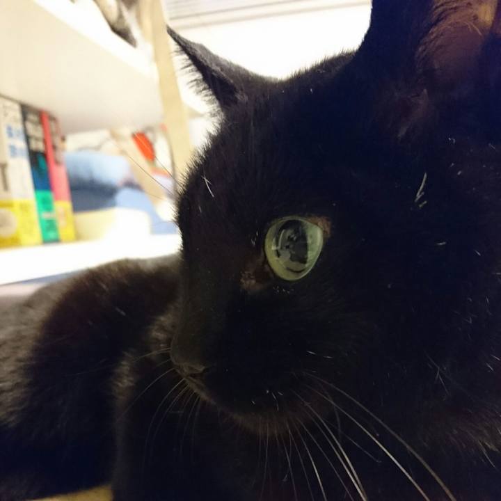 16efe167 b4cb 4757 8303 fe97bb39cc1a