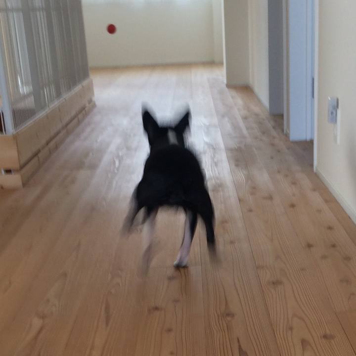 16f03a76 5673 4595 930c 3e3601558dc5