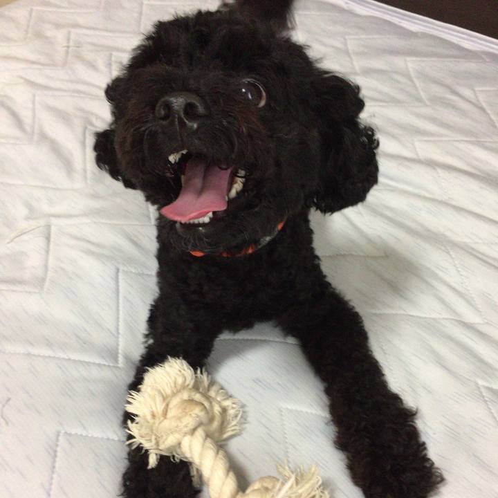 16f04957 f75f 45b7 81eb a3c57949ca97