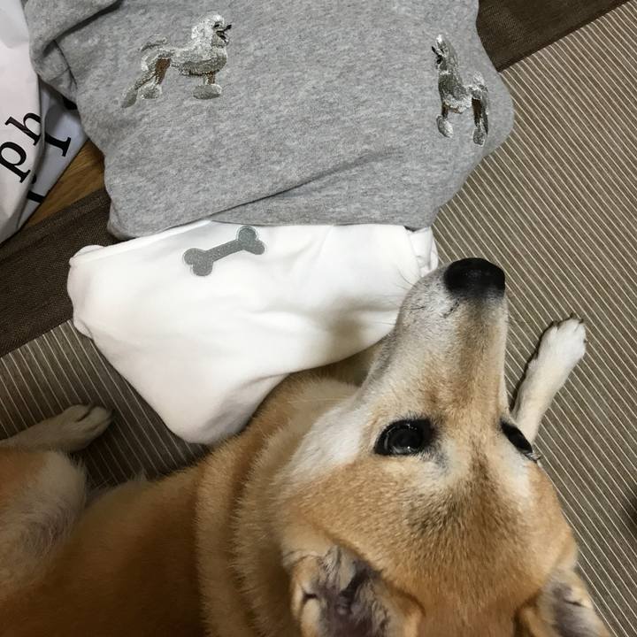 16f0b24e 7b3b 4af6 8bd4 7d4481608e22