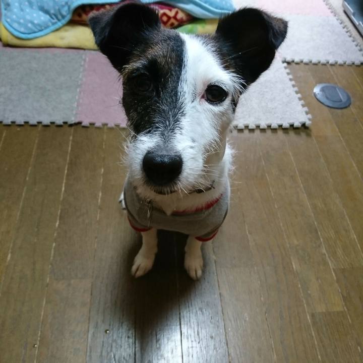 16f0b4b6 156f 4c37 ad2f 489a48b55620