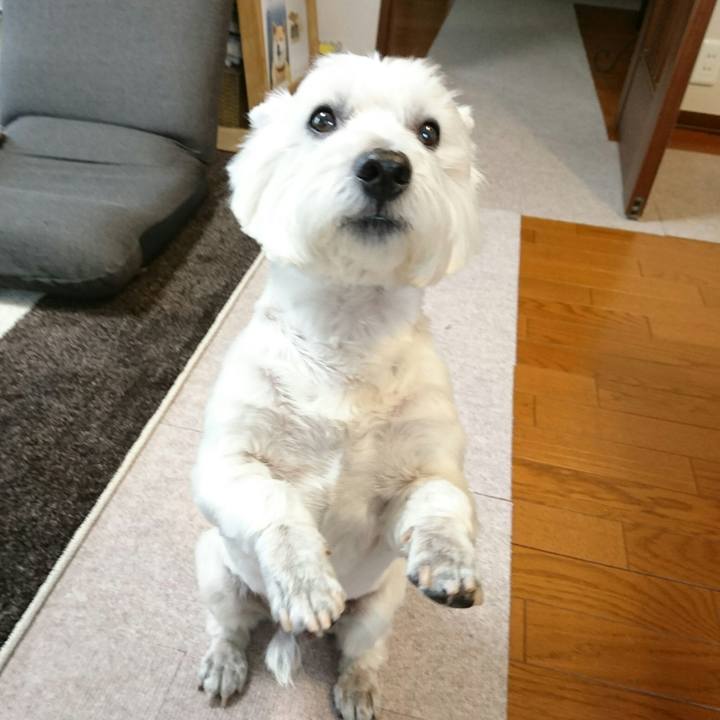 16f22aa2 2d22 43f4 b694 7b7cea5c7ba1