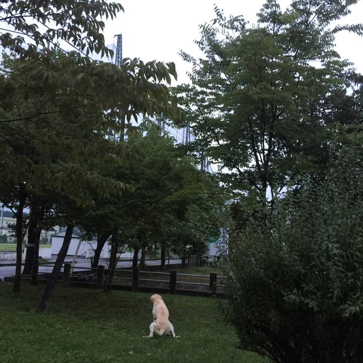 16f26f63 1712 41e6 9eb8 aa04a47bce83