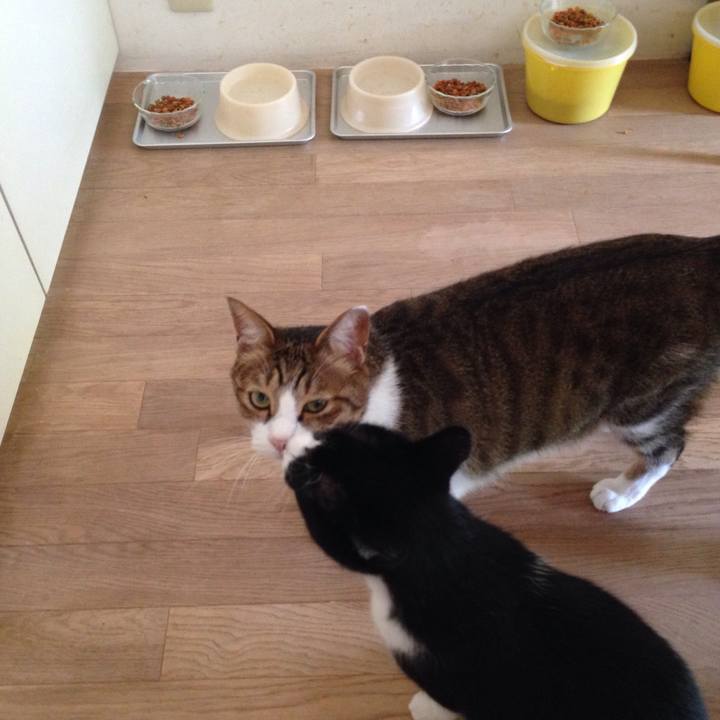 16f27aea 2db5 4d85 b755 3fe07d2b1977