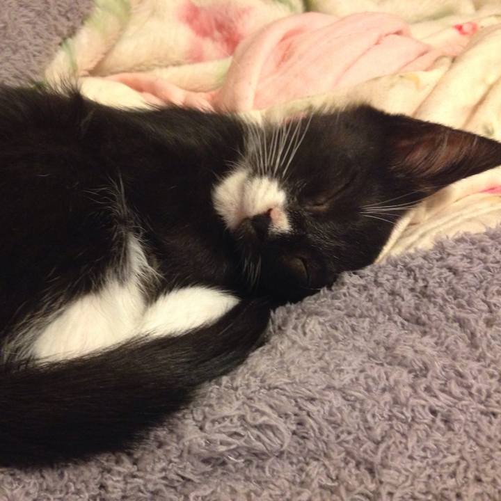 16f2bb91 2dfc 49eb 99cb b47669cb8e0b