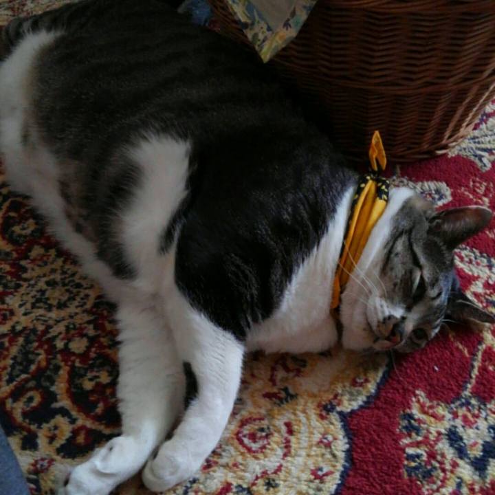 16f31de0 b089 47a3 82dc 13d5f3432e7b