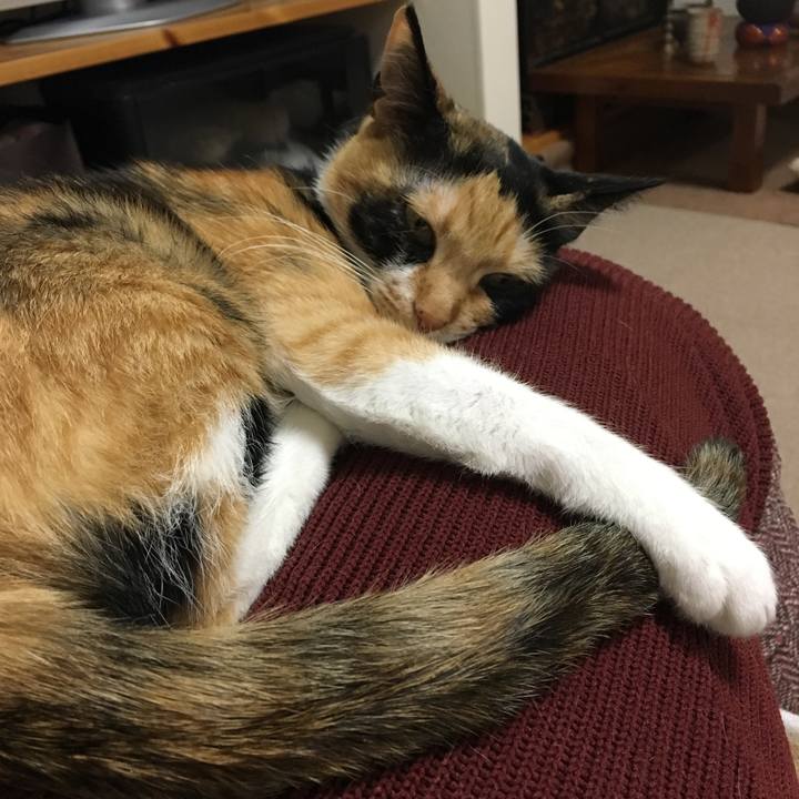 16f352eb c2b6 4ddf ba22 be9ef75f69cb